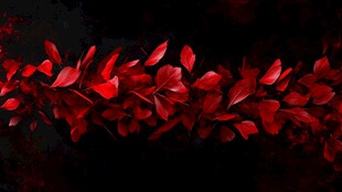 红色秋叶排列的梦幻画面