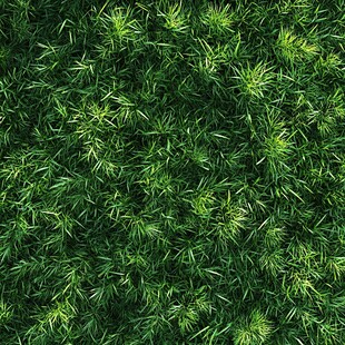 翠绿繁茂的草地纹理