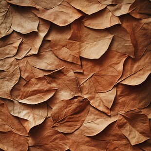 棕褐色枯叶纹理背景图