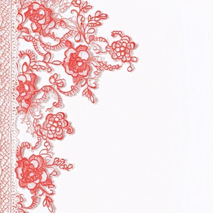 红色精美蕾丝花边图案