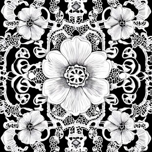 黑白花卉蕾丝图案纹理