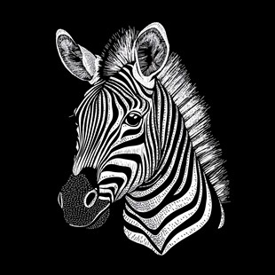 黑白斑马头插画
