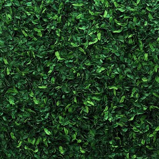 翠绿繁茂的仿真植物墙