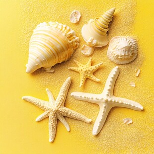 黄色背景上的海星与贝壳