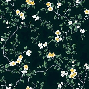 黑色底花卉藤蔓图案背景