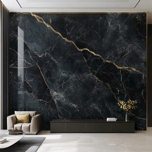奢华黑金色大理石客厅背景墙