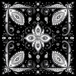 黑白佩斯利花纹装饰图案