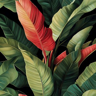 斑斓热带植物叶片特写
