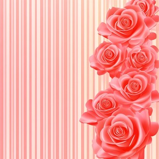 粉色玫瑰与条纹背景图案