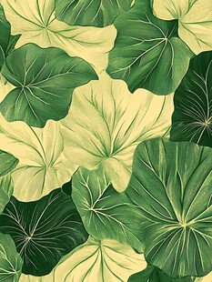 荷叶图案背景 清新自然风