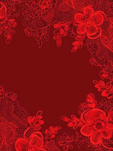 红色花卉蕾丝边框图案