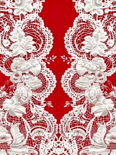红色底白色蕾丝花纹图案