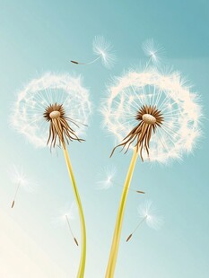 飞舞的蒲公英 清新自然风