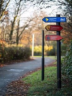林间道路旁的方向指示牌