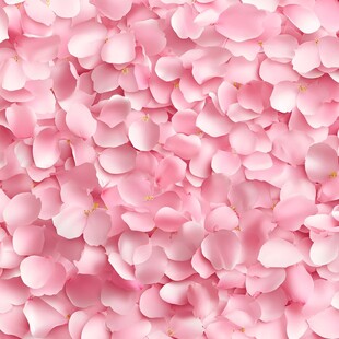 浪漫粉色花瓣唯美背景图