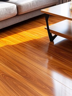 木质客厅地板与简约家具