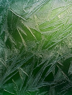 冬日窗上绝美冰花纹理