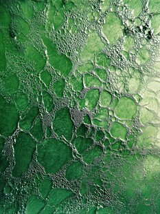 翠绿泡沫纹理抽象背景图