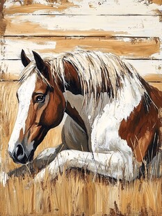 卧于草地的棕白相间骏马