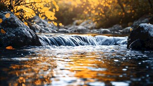 秋日溪流边的光影美景