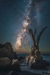 星空下的枯树与海岸奇观