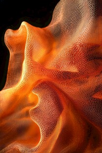 橙红色网纱的灵动之美