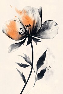 水墨风花卉插画
