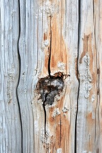 老旧木纹特写