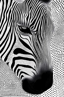 黑白斑马艺术肖像画