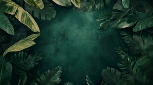 热带绿植环绕的深邃背景