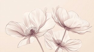 手绘淡雅花朵插画