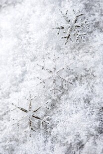 微距下的精致雪花世界