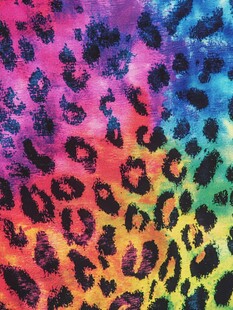 彩虹豹纹图案纹理背景