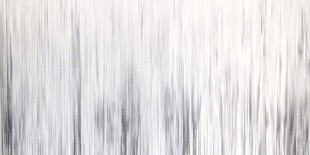 灰白渐变动感线条背景图