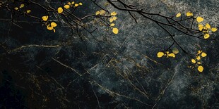 银杏枝叶覆于深色石面