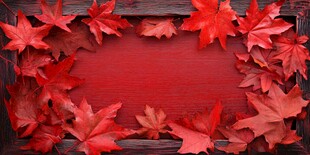 红枫叶装点的木质背景