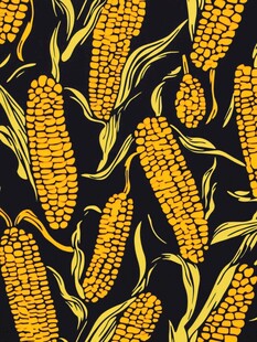 金黄玉米图案的黑色背景图
