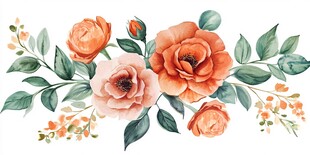 橙粉花卉绿植水彩插画