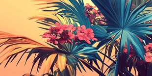 热带花卉与棕榈叶的景致