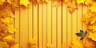 秋日木板上的斑斓落叶