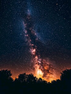 璀璨星空下的森林剪影