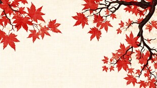 秋韵红枫背景图