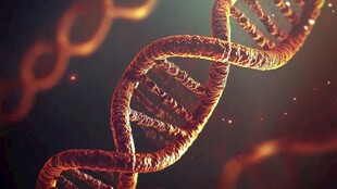 DNA双螺旋结构特写