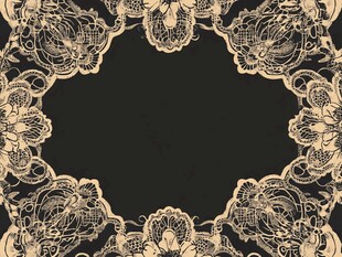 复古蕾丝花纹装饰边框