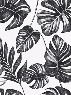 黑白龟背竹叶图案设计