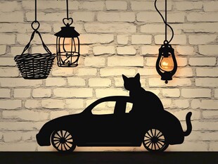 黑猫与车旁的温馨灯笼景
