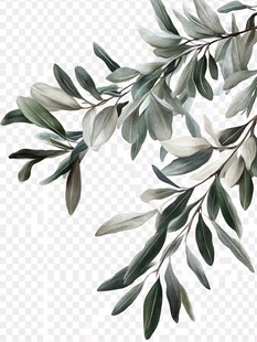 手绘银叶桉枝叶图案