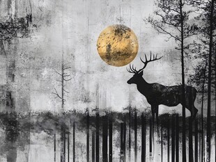 月夜麋鹿森林剪影