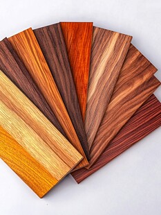 多样精美木材样本展示