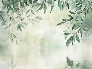 垂柳拂水的清新自然景象